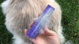 Brush for Cat Who Hates Being Groomed EquiGroomer [upl. by Scrope644]