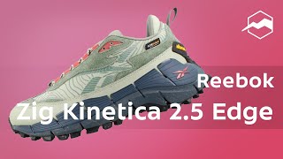 Кроссовки Reebok Zig Kinetica 25 Edge Обзор [upl. by Aramot]