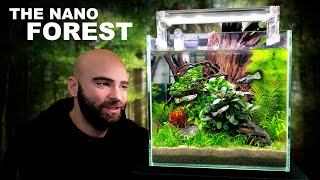 The Nano Forest ALL IN ONE Aquarium Kit Aquascape Tutorial [upl. by Williamson]