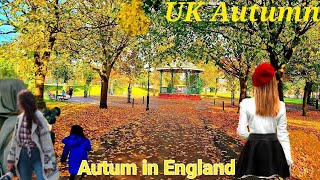 Autumn in England  Autumn in The UK 2021  Autumn Season Birmingham  Autumn Leaves Fall [upl. by Nylodnewg]