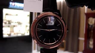 Citizen AR502508E AR502401E [upl. by Aifos969]