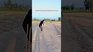 Tennis ball cricket shots cricket fyp youtubeviral cricketvideos [upl. by Gusty608]