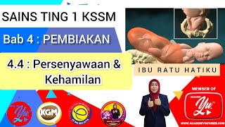 SAINS TING 1 KSSM BAB 4  44 Persenyawaan dan Kehamilan [upl. by Januarius186]