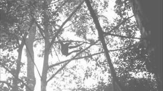 Agile Gibbon Great Call [upl. by Qulllon]