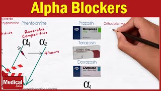 Pharmacology ANS 17 Alpha Blockers  Prazosin Terazosin Doxazosin Tamsulosin and Alfuzosin [upl. by Orsola795]