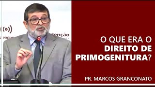 O que era o direito de primogenitura [upl. by Jehoash]