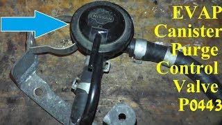 How to Test and Replace EVAP Canister Purge Control Valve P0443 [upl. by Bolte]