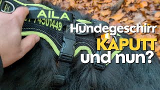 Hundeschirr kaputt und nun [upl. by Anitroc]