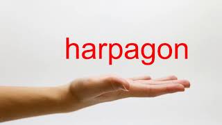 How to Pronounce harpagon  American English [upl. by Adnalahs]