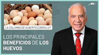 Los principales beneficios de los huevos la columna de Alberto Cormillot [upl. by Adnarrim564]