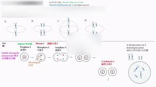 BCHui HKDSE Biology 2022 QP1A Q05 [upl. by Ain]