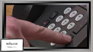 Muting a Call on Your Avaya Phone [upl. by Xet156]