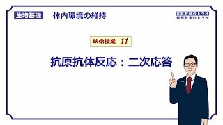 【生物基礎】 体内環境の維持11 抗原抗体反応：二次応答 （１８分） [upl. by Haugen]