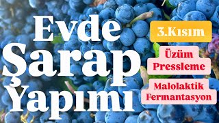 Evde İleri Seviye Kirmizi Şarap Yapımı 3Kısım Press ve Malolaktik Ferm Make Premium Wine at Home [upl. by Ramat31]