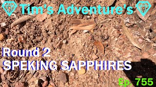 ROUND TWO of SPECKING SAPPHIRES 💎Tims Adventures💎⛏️  Ep755 [upl. by Inigo507]