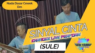 Sinyal cinta Sule karaoke nada cewek Dm [upl. by Paugh]