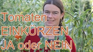 4 Tomaten EINKÜRZEN ja oder nein [upl. by Viv]