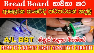 How to create light sensitive circuit using bread Board sinhala  AL bst practical video  LDR [upl. by Meingoldas]