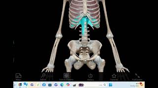 Radiographic Techniques for Abdomen [upl. by Akit]