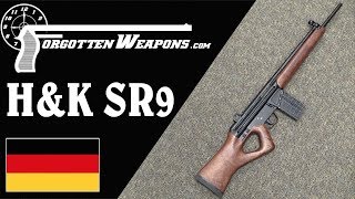 HampK Quality Meets the Thumbhole Stock The SR9 [upl. by Edrahs]