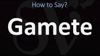 How to Pronounce Gamete CORRECTLY [upl. by Lilahk]