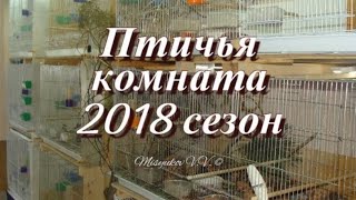 Моя коллекция птиц 251217 Breeding birdroom [upl. by Ahseuqal]