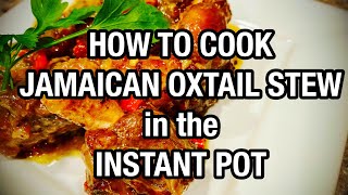 Instant Pot Jamaican Oxtail Stew Recipe  Oxtail Recipe Jamaican  How to Cook Oxtail  BrinVlogs [upl. by Coleen]