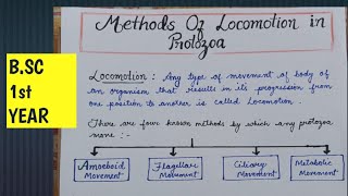 Methods of locomotion in Protozoa  Locomotion in Protozoa  AmoeboidCiliary FlagellarMetabolic [upl. by Guthry730]