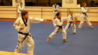 Poomsae Keumgang  Black Belt Maintenance Test  Green Star  Forms [upl. by Keram640]