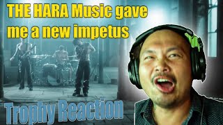 THE HARA  Music is Impetus  Trophy Reactions [upl. by Bank]