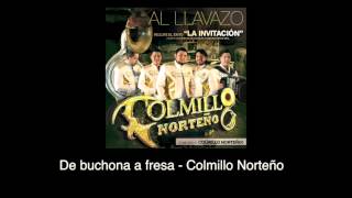 09 De buchona a fresa  Colmillo Norteño álbum Al Llavazo 2015 [upl. by Airahs]