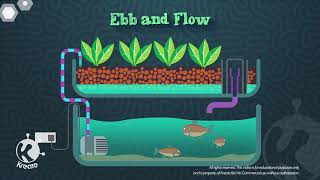 AQUAPONICS Animated Introduction part1 [upl. by Sirrep]