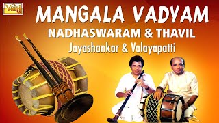 Mangala Vadyam Music  Nadaswaram And Thavil  Carnatic Instrumental [upl. by Eerpud]