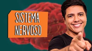 SISTEMA NERVOSO  ANATOMIA E FISIOLOGIA  Biologia com Prof Kennedy [upl. by Avner]