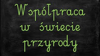 Temat Współpraca w świecie przyrody edukacja wczesnoszkolna [upl. by Janene]