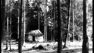 Brüderchen Und Schwesterchen 1953 Brd Ganzer Film [upl. by Nnylarak]