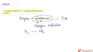 The exzyme nitrogenase which is capable of nitrogen reduction present in [upl. by Alaunnoif]