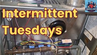 Intermittent Tuesdays  Furnaces [upl. by Decrem409]