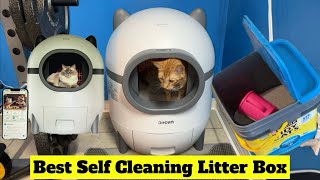 ✅Best Auto Cleaning Cat Litter Box  Large Capacity Automatic Cat Litter Robot 15L  3 Cats [upl. by Mistrot762]