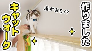 カーテンレールから落ちた愛猫のためにキャットウォークをDIYしました [upl. by Mina]