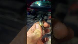 Worst Spark Plug I’ve Seen mechanic automobile automotive [upl. by Areid880]