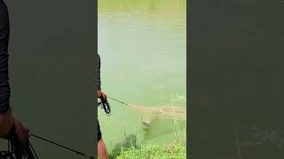 Pay for fishing nets by the lake funnyvideo fishing netsfishing funny funniestvideo funnyreel [upl. by Emalia399]