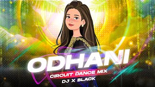 Haye Mora Nua Odhani  Circuit Dance  Dj X Black [upl. by Asylem638]