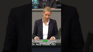 Alice Weidel Echte Rechte in Deutschland  Stolz und Verantwortung [upl. by Inva]