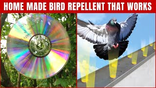 Homemade Bird Repellents to Keep Birds Away That Works 100  Top Repellents [upl. by Tedra]