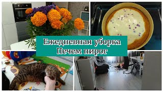 💪Ежедневная уборкаНаводим порядок после выходныхПечем сладкий пирог🥞Про животных😺🐢 [upl. by Yngiram]