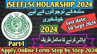 How to apply For Sindh Educational Endowment Scholarship  SEEF Scholarship 2024 [upl. by Aizek317]