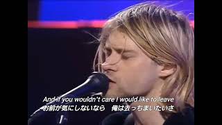 【和訳】Nirvana  Blew Live And Loud Seattle 1993 [upl. by Jolee618]