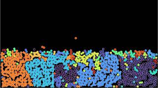 Growing quasicrystals by dynamic aggregation of pentagons [upl. by Frasquito]