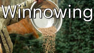 Winnowing  How to Clean You Seeds [upl. by Adnicaj]